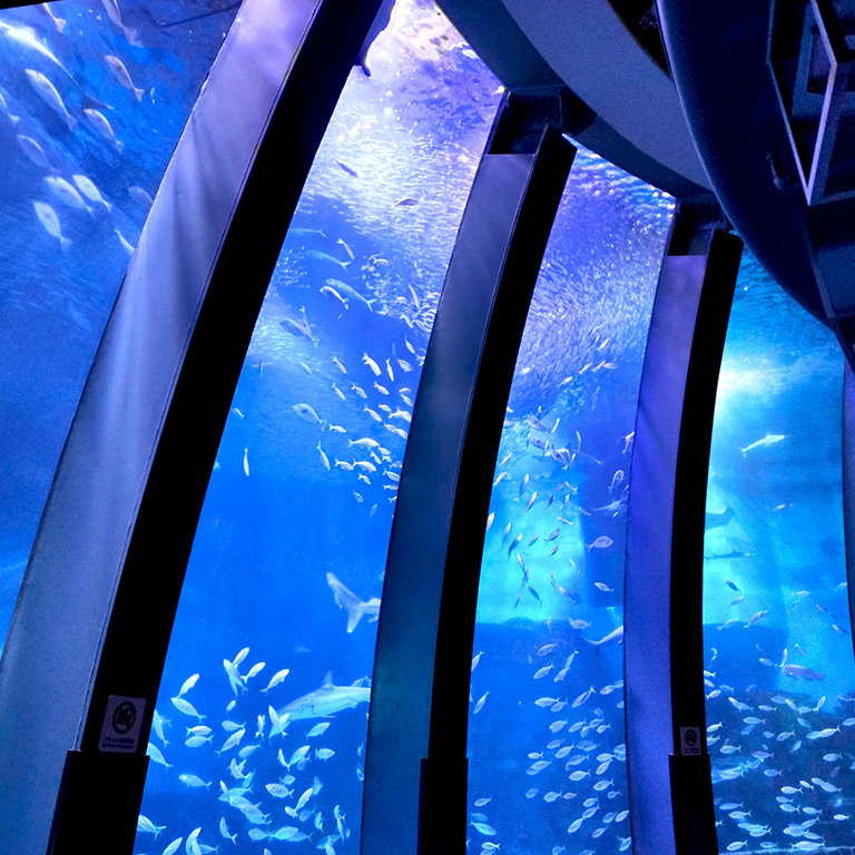 休日に行きたいおすすめ6選