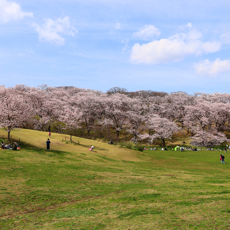 地元で愛される穴場スポット